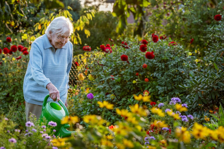 Woman on a Garden Watering Her Flowers