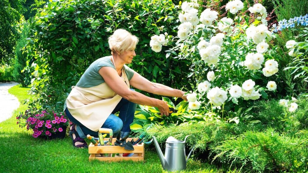 Older woman gardening